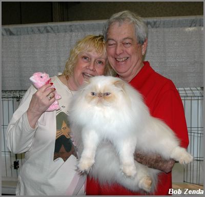 Catsafrats Tea  Time